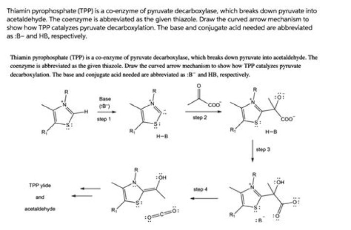 How thiamine pyrophosphate works?