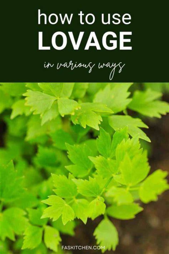How to freeze lovage?