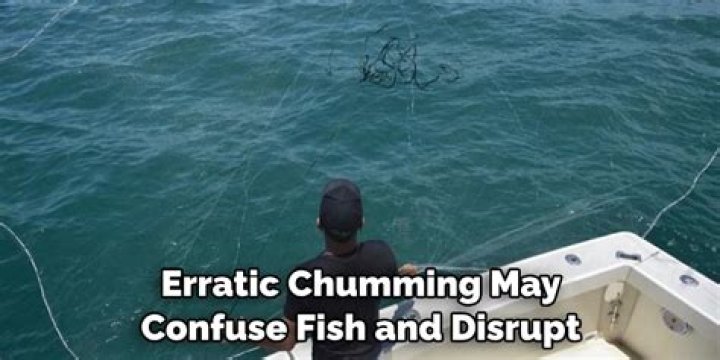 How to make chum for fishing?