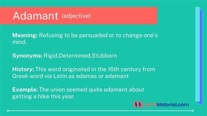 How to use the word adamant in a sentence?