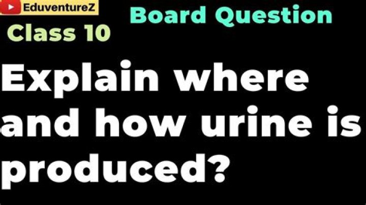 How urine is produced class 10?