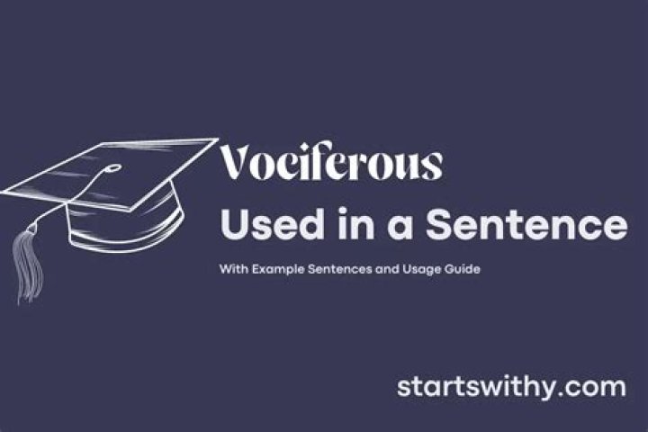 How would you put vociferous in a sentence?