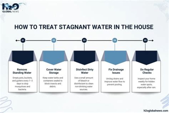 In a stagnant water?
