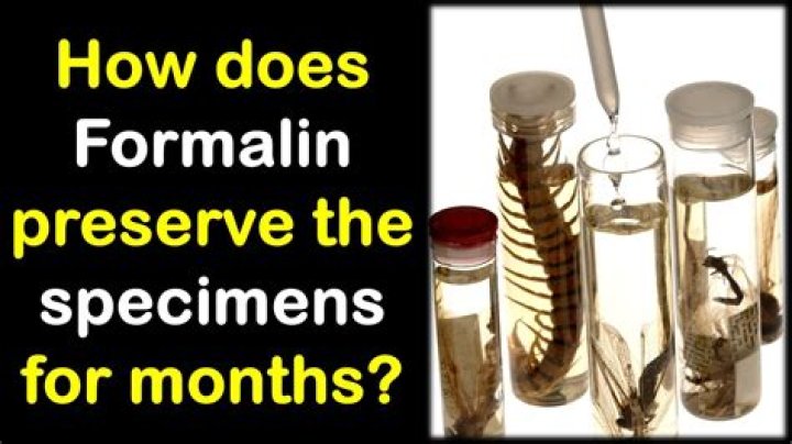 In which solution specimens are preserved?