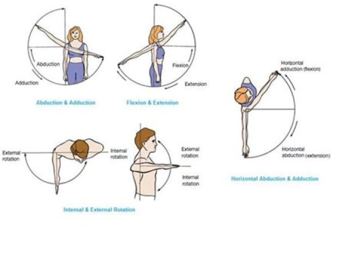 Initiator of shoulder abduction?