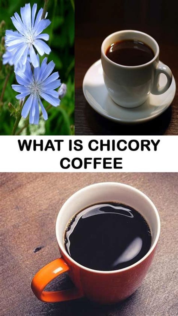 Is chicory coffee bad for you?