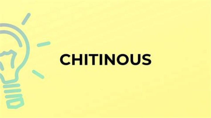 Is chitinous a word?