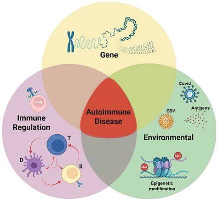Is granulomas an autoimmune disease?