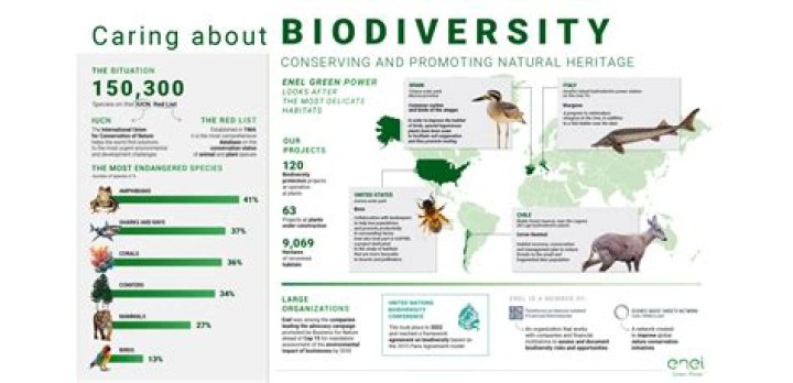 Is importance of biodiversity?