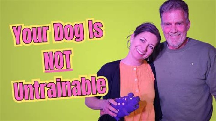Is my dog untrainable?