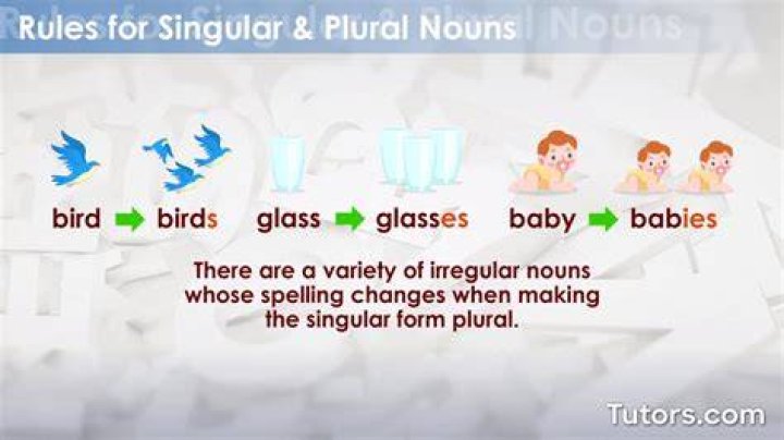 Is nomenclatures plural or singular?