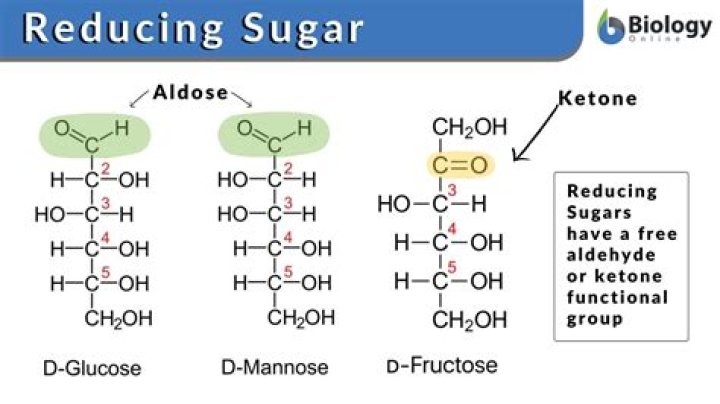 Is stachyose a reducing sugar?