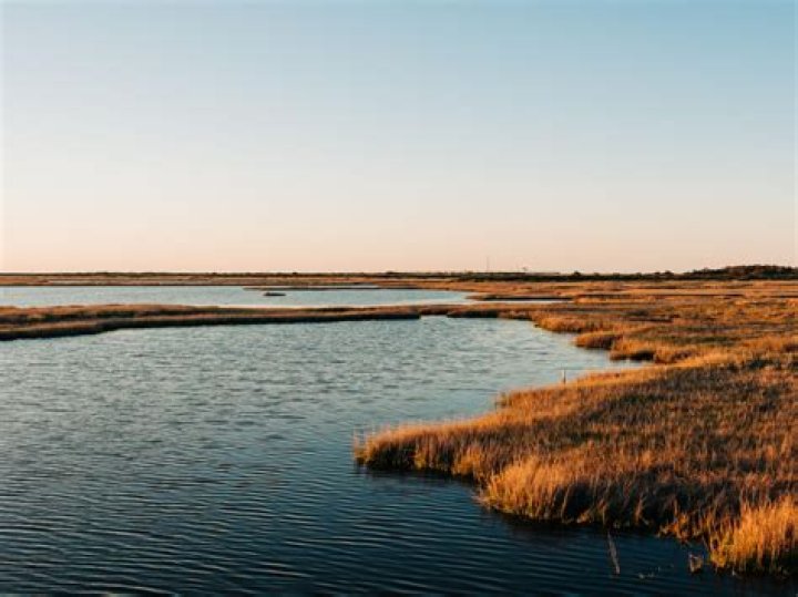 Is the coastal lowlands?