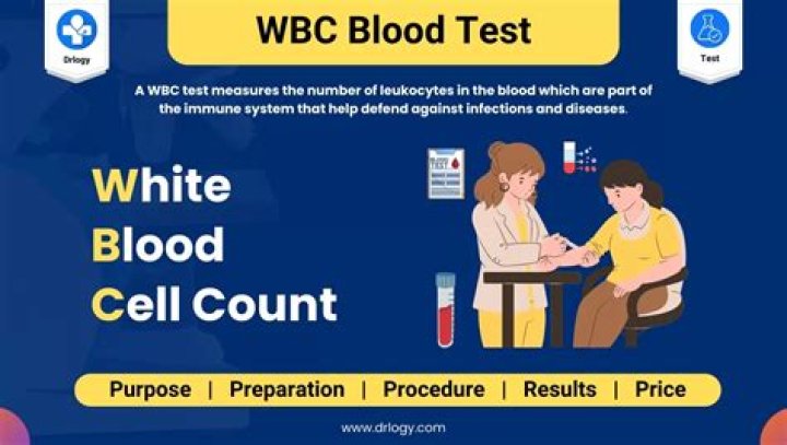 On a blood test what is wbc?