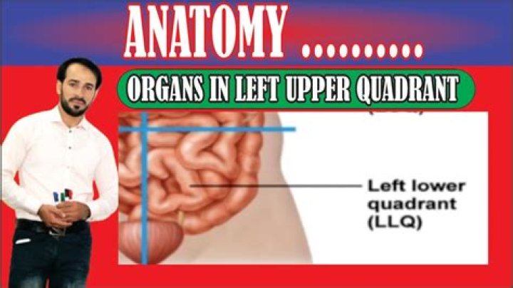 On upper left quadrant?