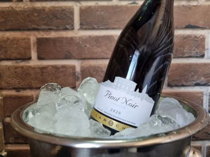 Should pinot noir be served chilled?