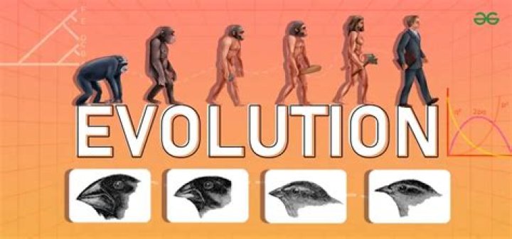 Should theory of evolution be capitalized?