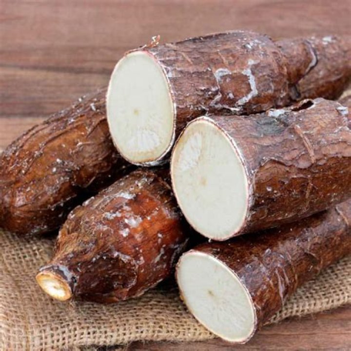 Should yucca root be refrigerated?