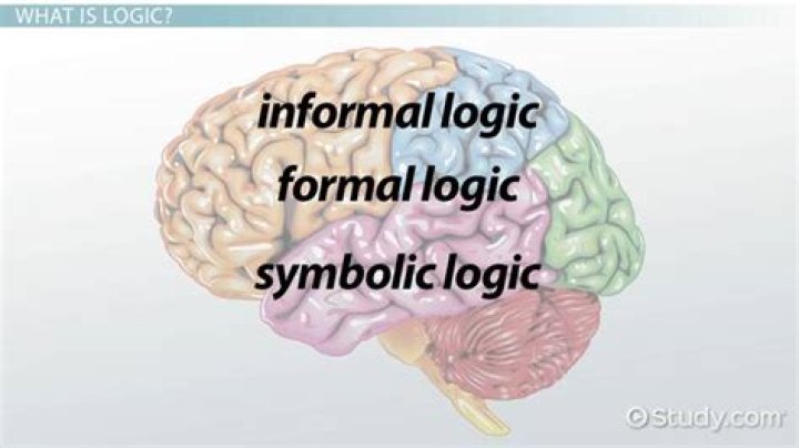 Was does logic mean?