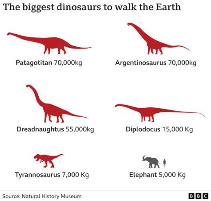 Were dinosaurs too big?
