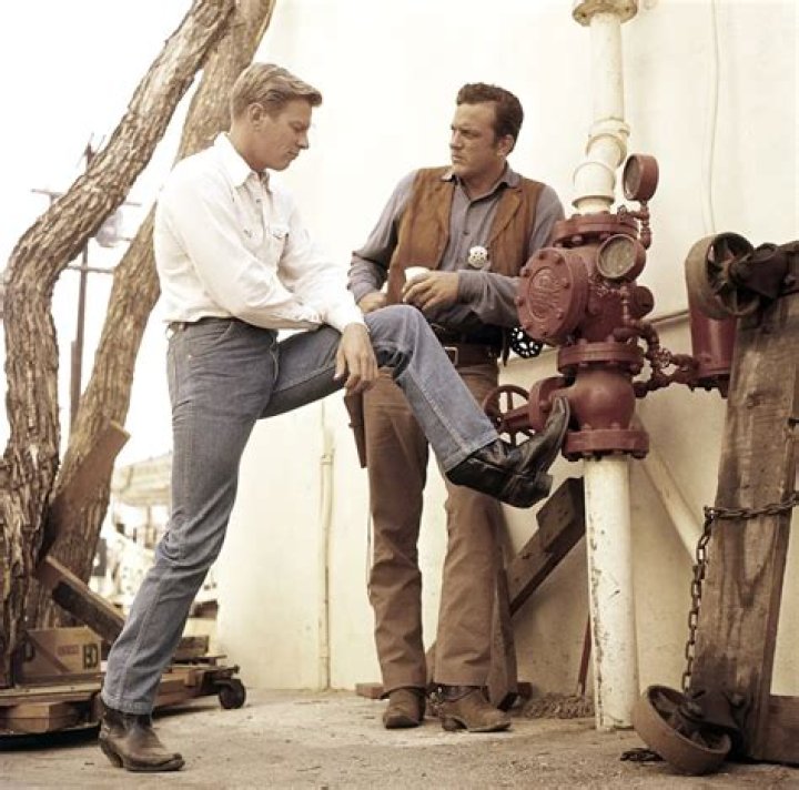 Were james arness and peter graves brothers?