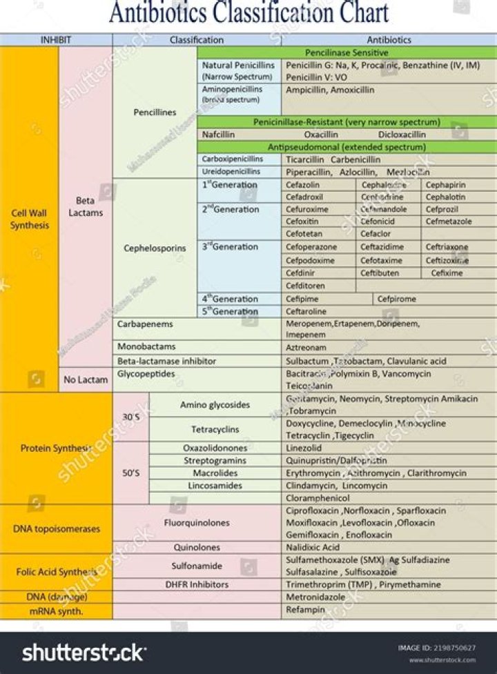 What are antibiotics and chemotherapeutics agents?