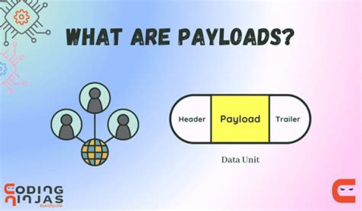 What are payloads in api?