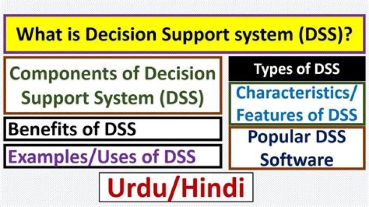 What are the components of dss?
