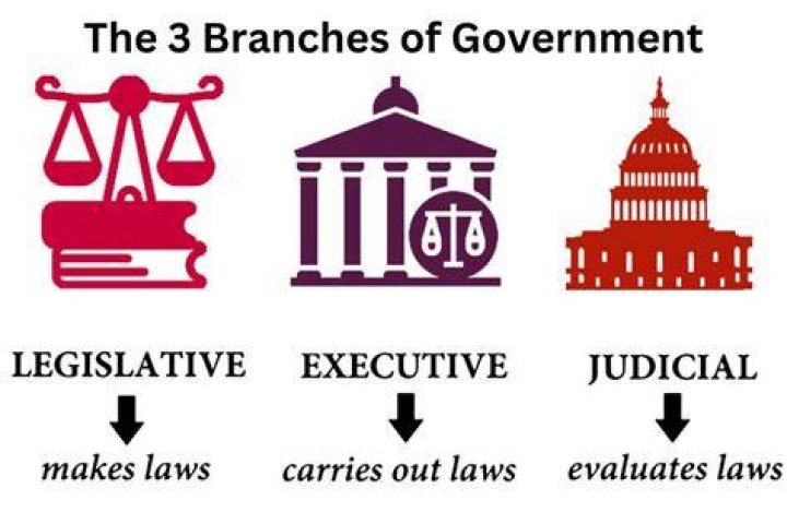 What are the three branches of government?