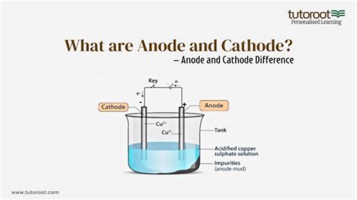 What cathode and anode?