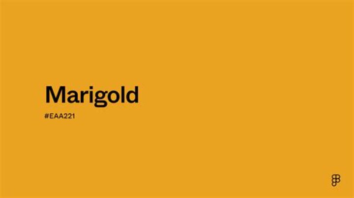 What color is marigold?