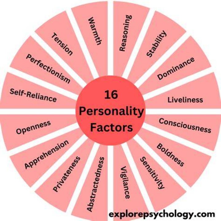 What comprises an individual's personality?