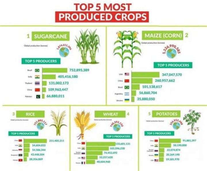 What crops grow in the west region?