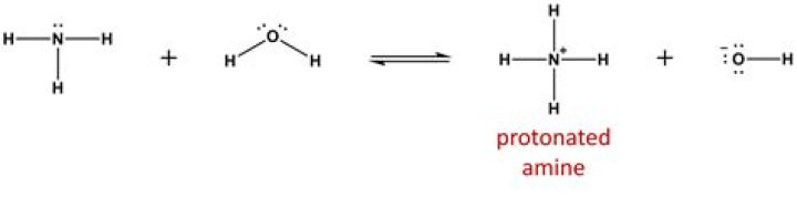 What does amine added to feedwater do?