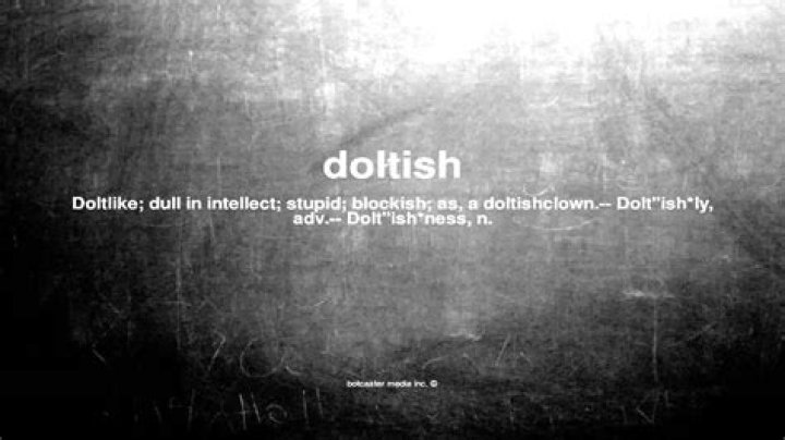 What does doltish me?