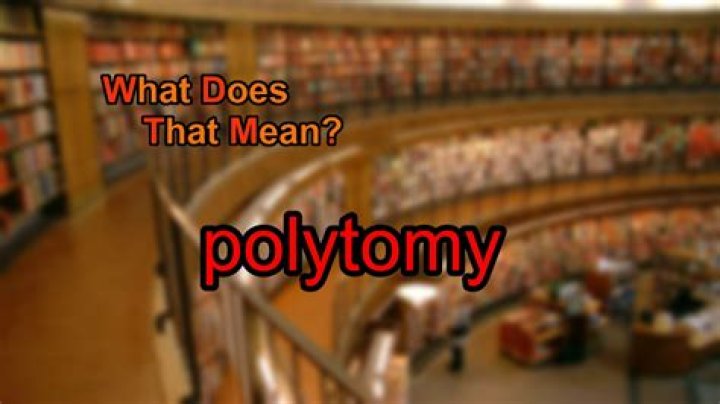 What does polytomy mean?