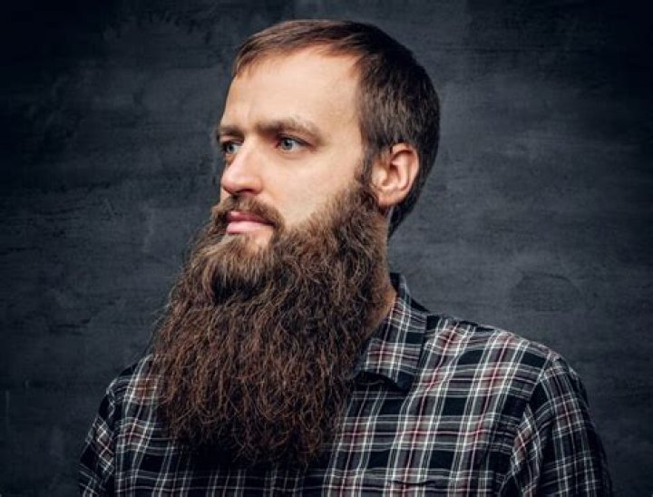 What does spade beard mean?