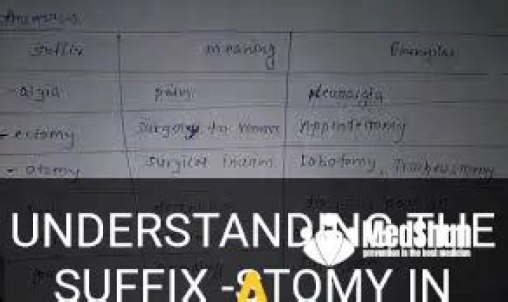 What does the suffix stomy mean?