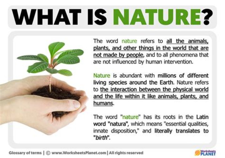 What does unmindful nature mean?
