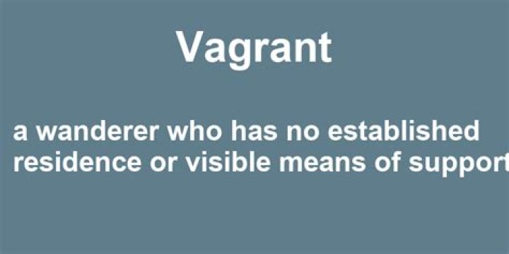 What does vagrant mean?