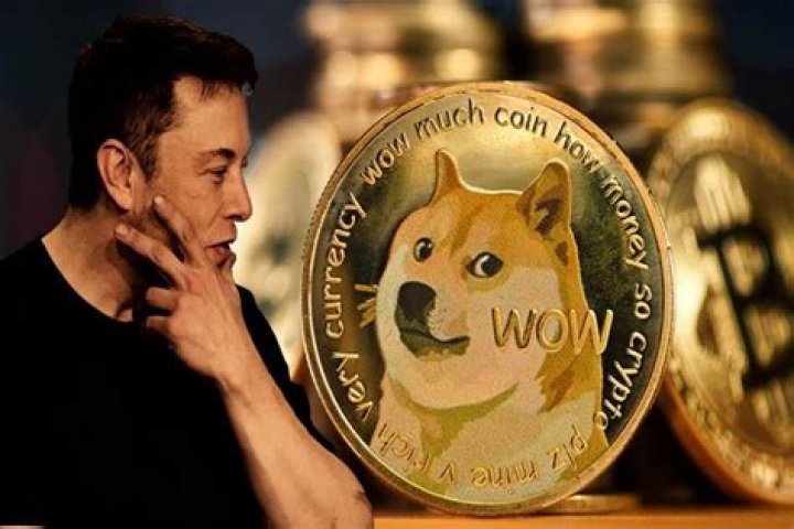 What elon musk said about dogecoin?