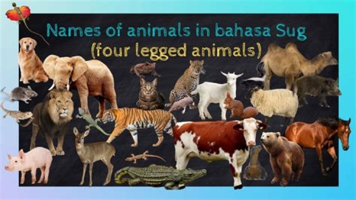 What is a four footed animal called?