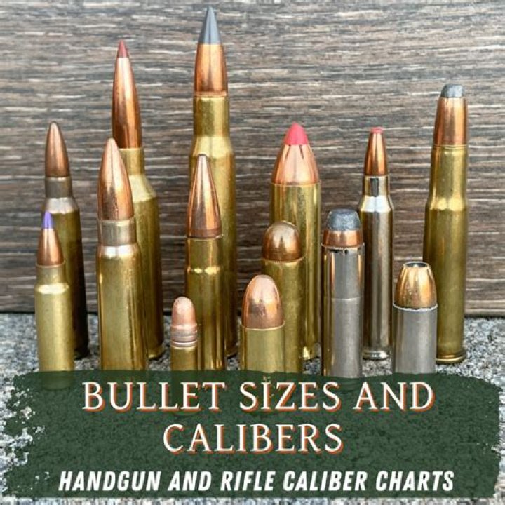 What is bullet s.d?