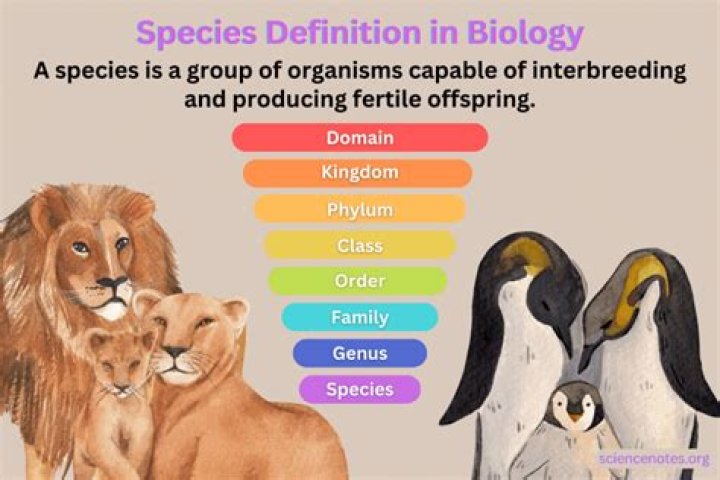What is definition of anthophyte?