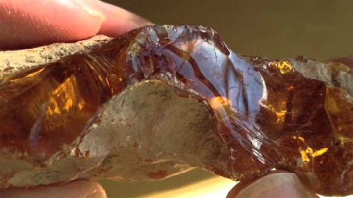 What is fossilised resin?
