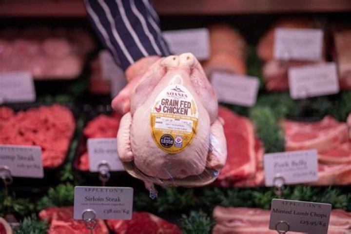 What is grain fed chicken?