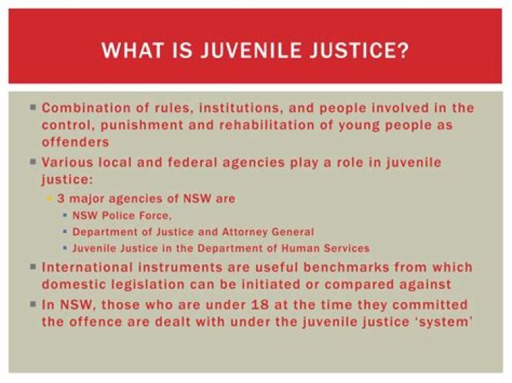 What is juvenile justice system?