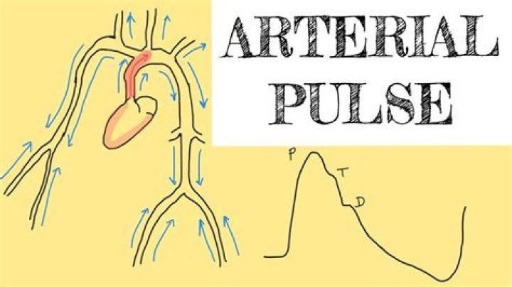 What is meaning of pulsated?