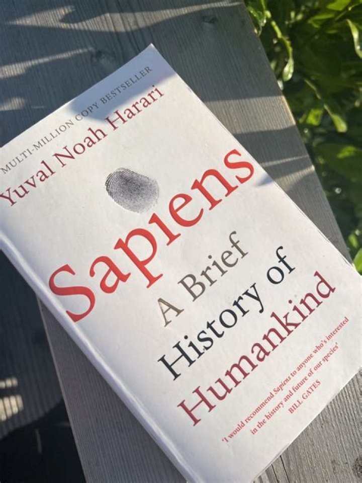 What is sapiens book about?