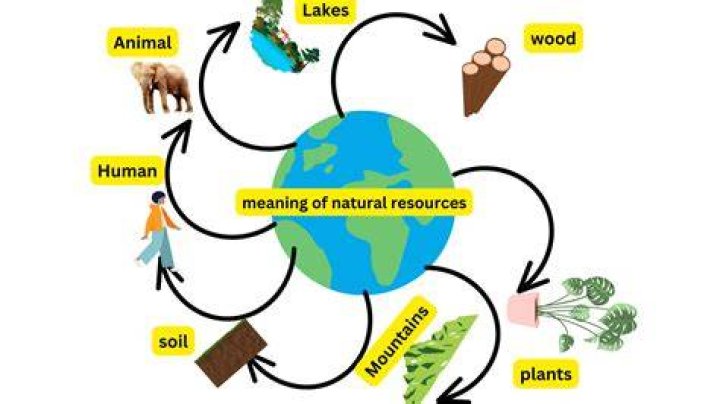 What is the definition of campestral?
